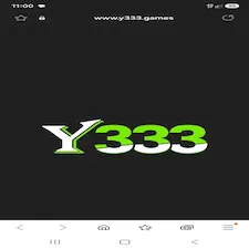 Y333 Game